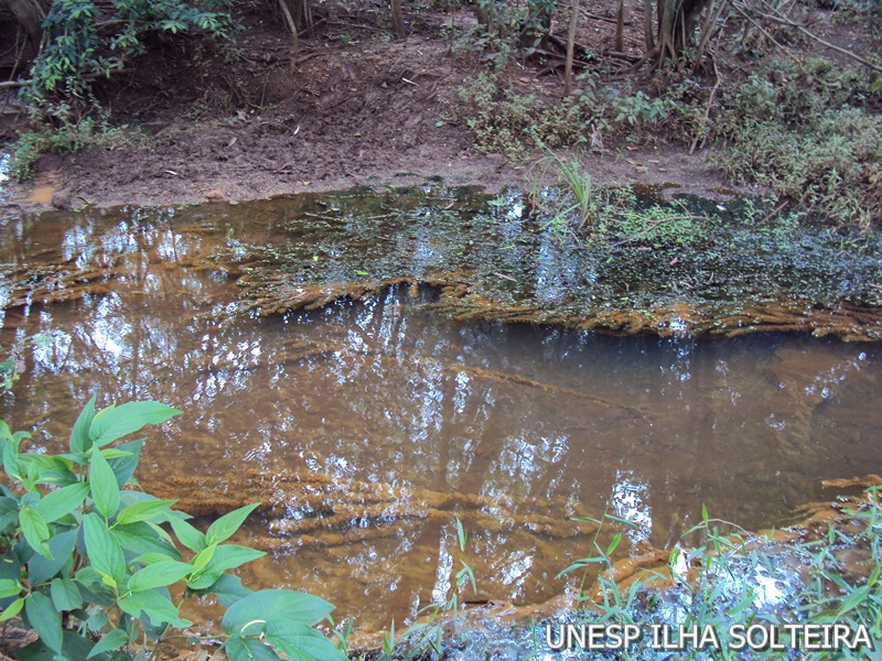 21_marco_2011 (22).JPG